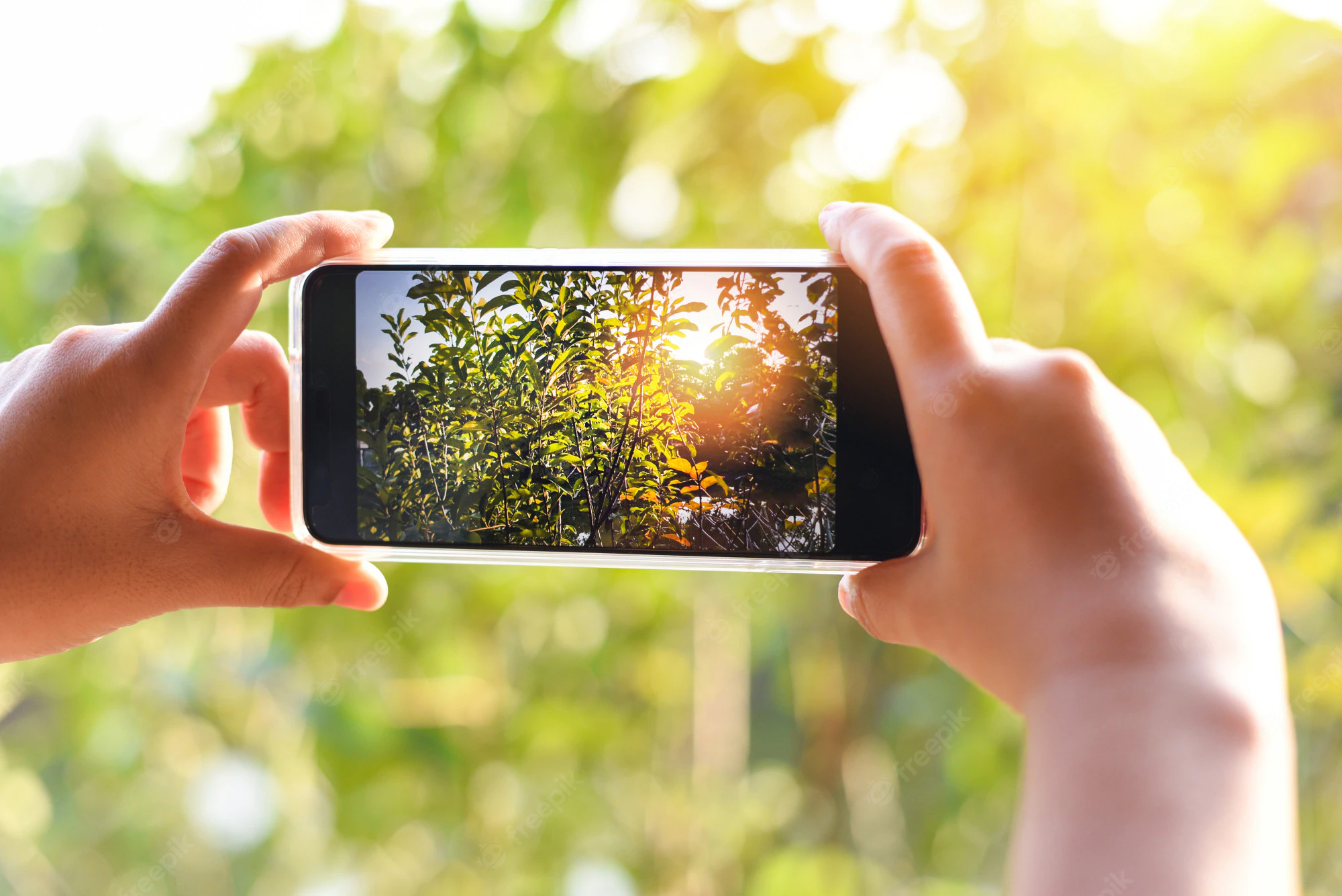 Snap, Sell, Earn: Get Paid to Take Photos