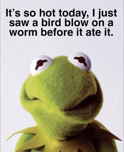Funny of the Week
